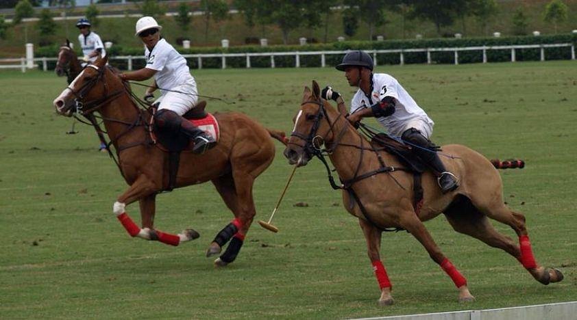 Polo Lessons in KL image