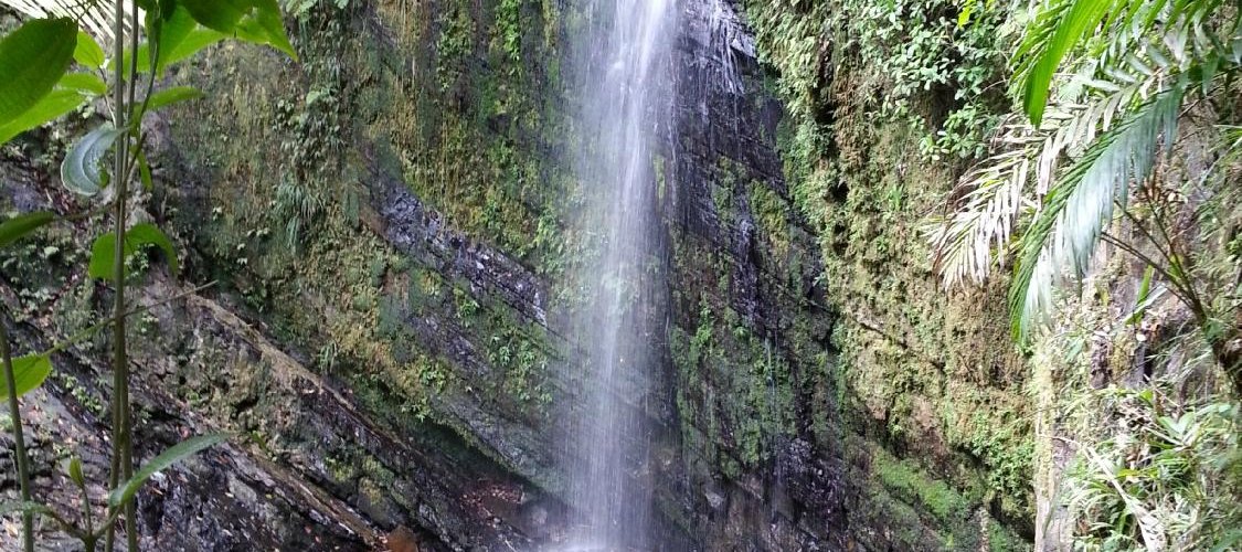 Rain Forest waterfall we had all to ourselves!