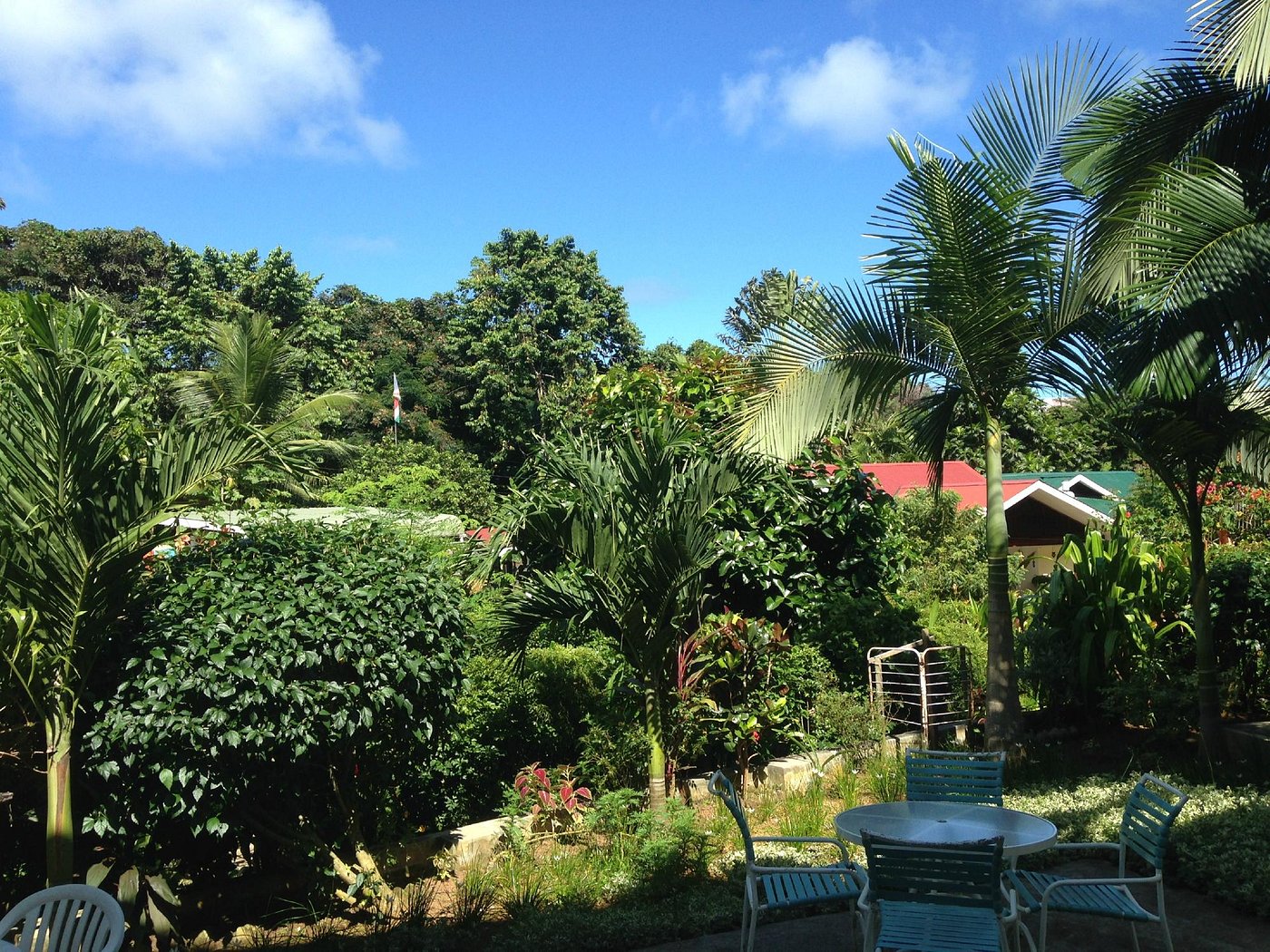 Evergreen Apartments (Anse Boileau, Îles Seychelles - Île de Mahé ...