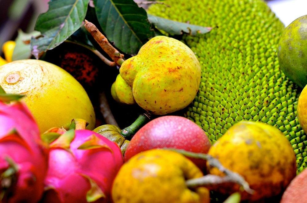 queensland tropical fruit