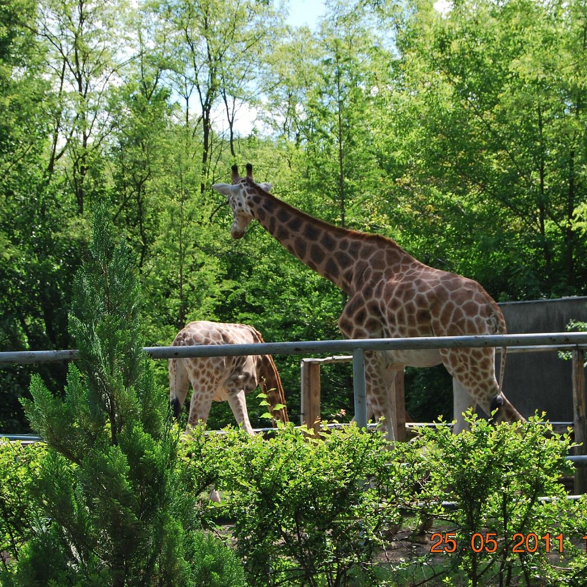 Orientarium Zoo Lodz, Лодзь: лучшие советы перед посещением - Tripadvisor