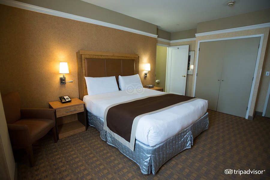 ザ ニューヨーク マンハッタン ホテル Nyma The New York Manhattan Hotel ニューヨーク シティ 21年最新の料金比較 口コミ 宿泊予約 トリップアドバイザー ザ ニューヨーク マンハッタン ホテル Nyma The New York Manhattan Hotel ニューヨーク シティ 21年最新の料金比較 口コミ 宿泊予約 トリップアドバイザー