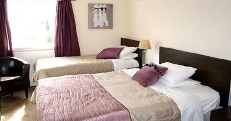 twin/family room