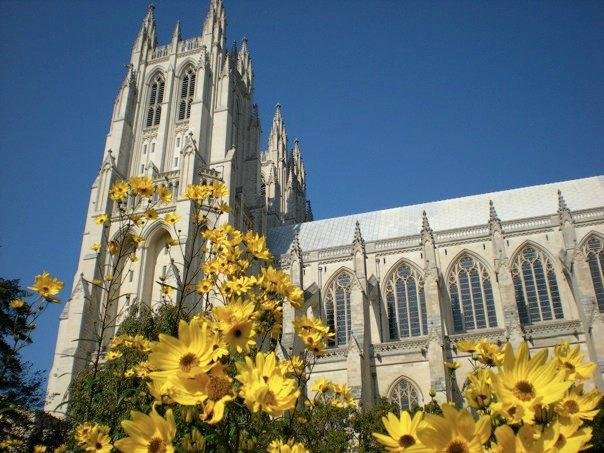 Visitando a Catedral Nacional de Washington