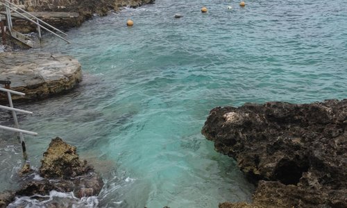 Cozumel 2023: Best Places to Visit - Tripadvisor