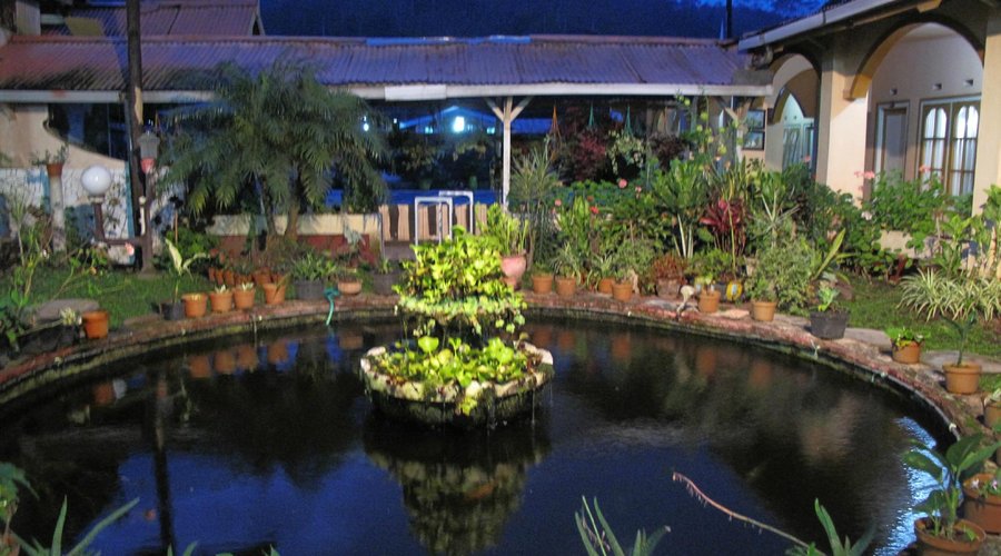 Catimor Homestay small fountain