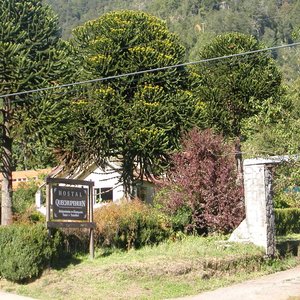 getlstd_property_photo
