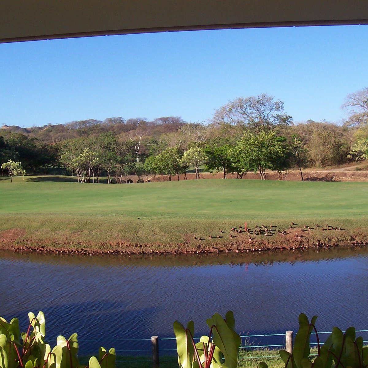 GARRA DE LEON GOLF COURSE (Playa Conchal) Ce qu'il faut savoir