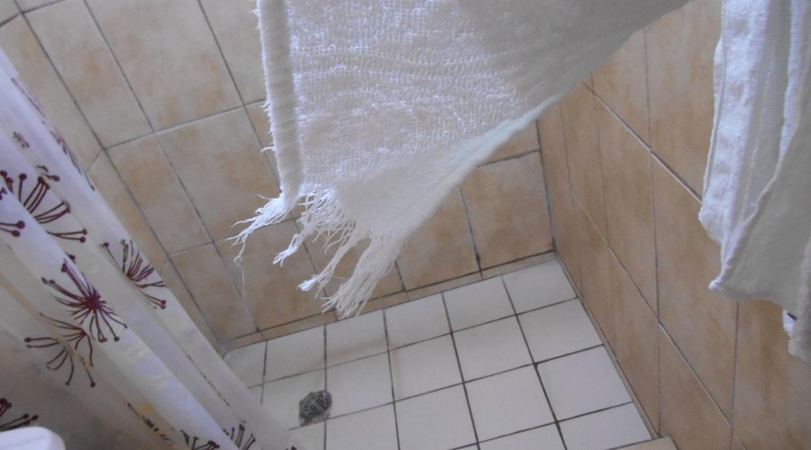 Rags (Towels)
