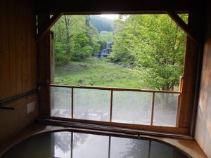 旅行者の写真