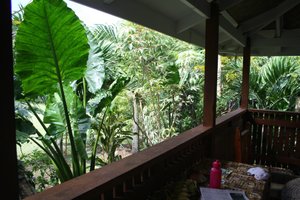 Room & Suite