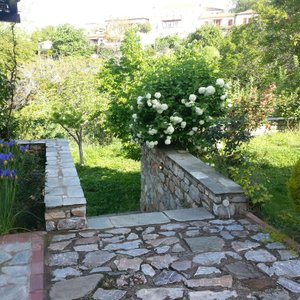 Klio's well-kept garden