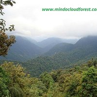 Mindo Cloud forest Ecuador