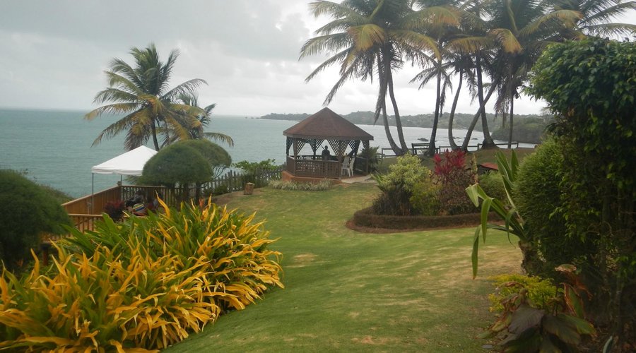 The grounds