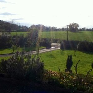 View from our bedroom window