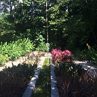 Jardim Botanico