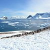 Things To Do in The South Pole, Restaurants in The South Pole