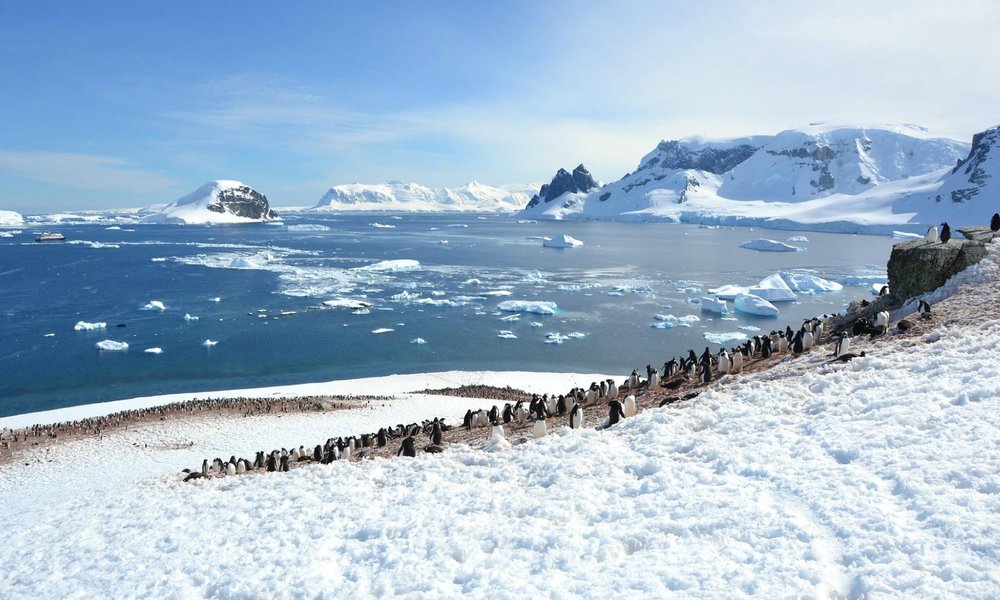 Antarctica 2021: Best of Antarctica Tourism - Tripadvisor