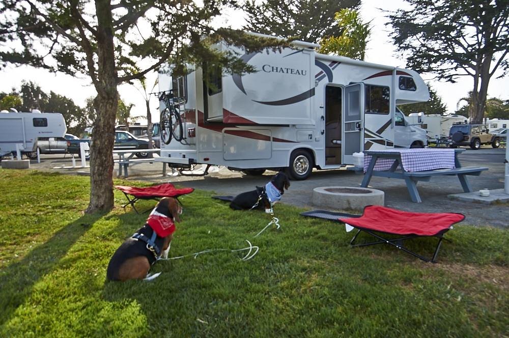 Pismo Coast Village: How to camp on the beach. Beautiful sunny California camping on the beach.