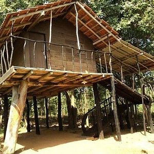 Log Cabin 2