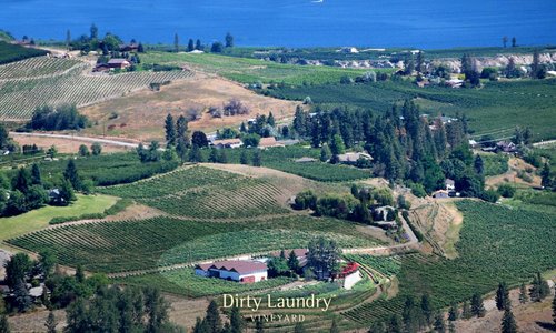 An aerial photo of Dirty Laundry Vineyard