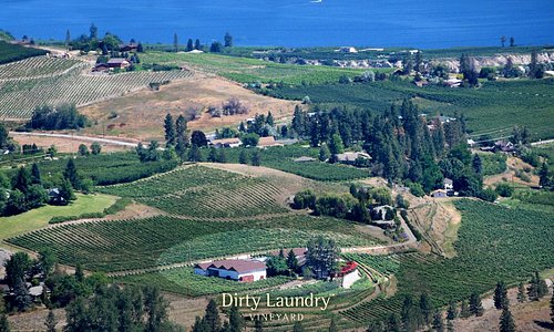 An aerial photo of Dirty Laundry Vineyard