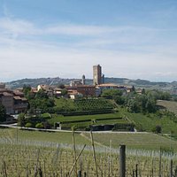 Barbaresco