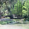 Things To Do in Avery island, Restaurants in Avery island