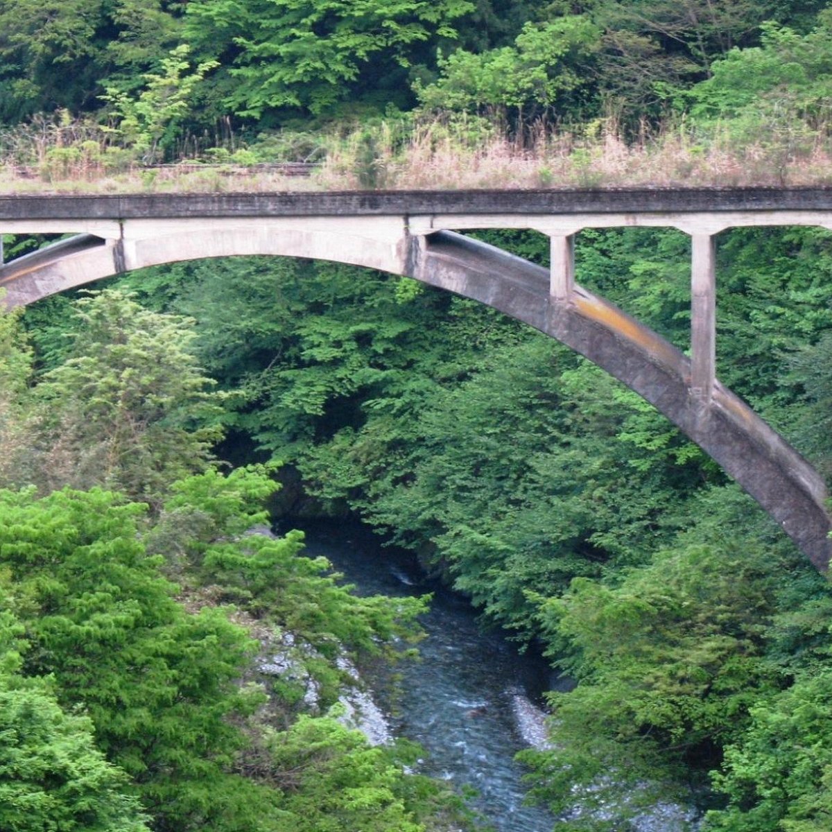 Hikawa Kokusai Masu Fishing Site Okutama Machi Ce Qu Il Faut Savoir