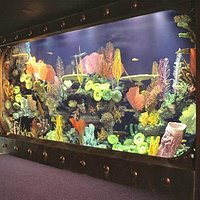 Aquarium