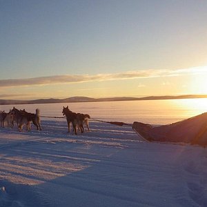 styrsö dating sites
