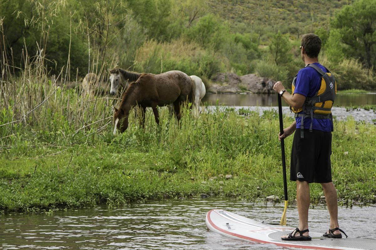 REI Co-op Adventure Center Arizona (Scottsdale) - All You Need To Know ...