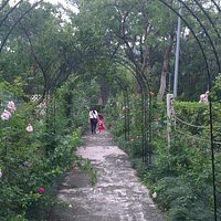 Rose gardens area