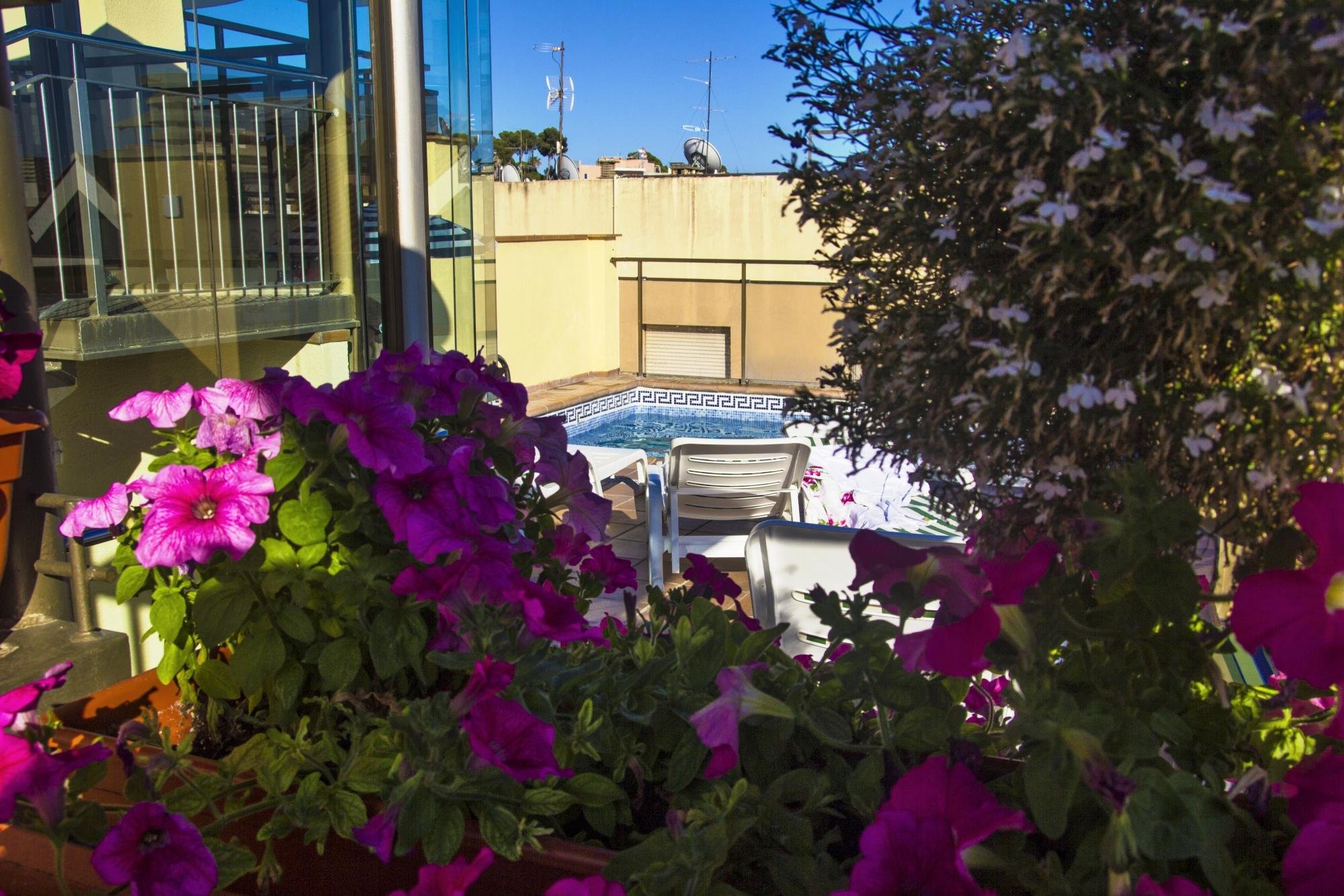 Hotel Sunshine Park by null