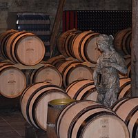 In the wine cellar