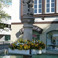 Schwaetzweiber