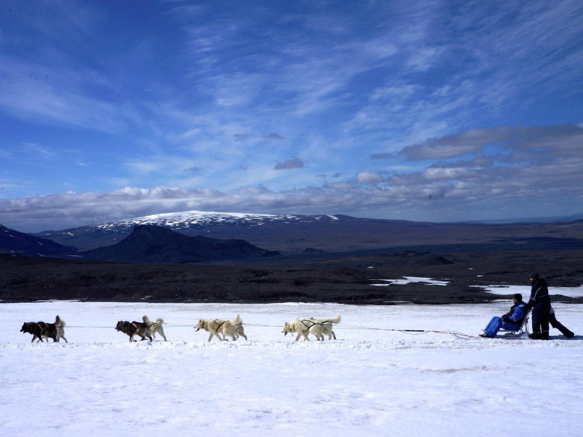 Dogsledding Iceland (Mosfellsbaer) - Lohnt es sich? Aktuell für 2025 ...