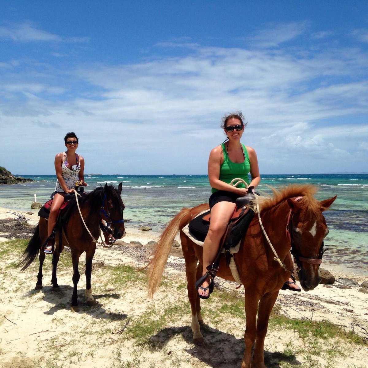 Golden Palomino Riding Stables (Swansea) - All You Need to Know BEFORE ...