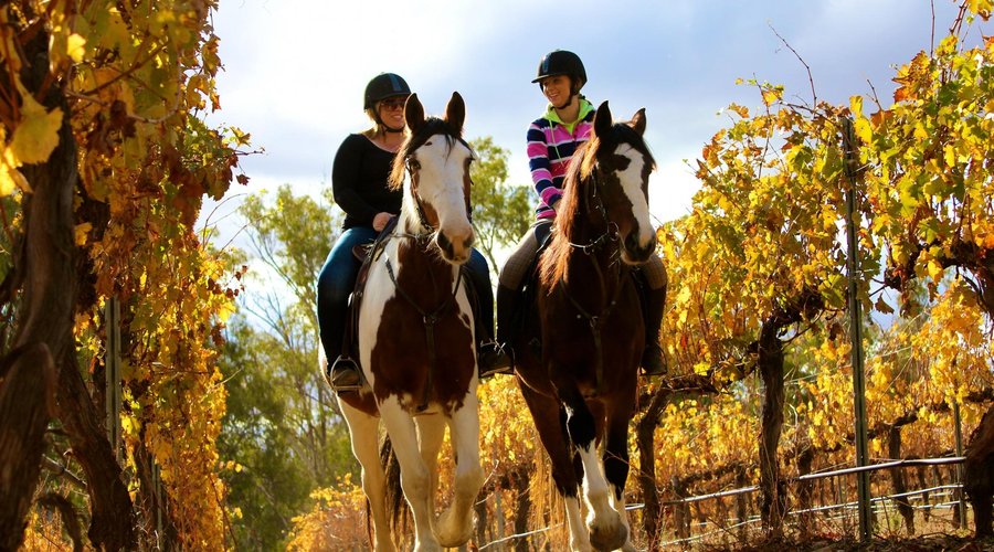 Horseback Winery Rides 7Overnight Packages
