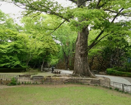 21年 小諸市で絶対外さないおすすめ観光スポットトップ10 定番から穴場まで トリップアドバイザー