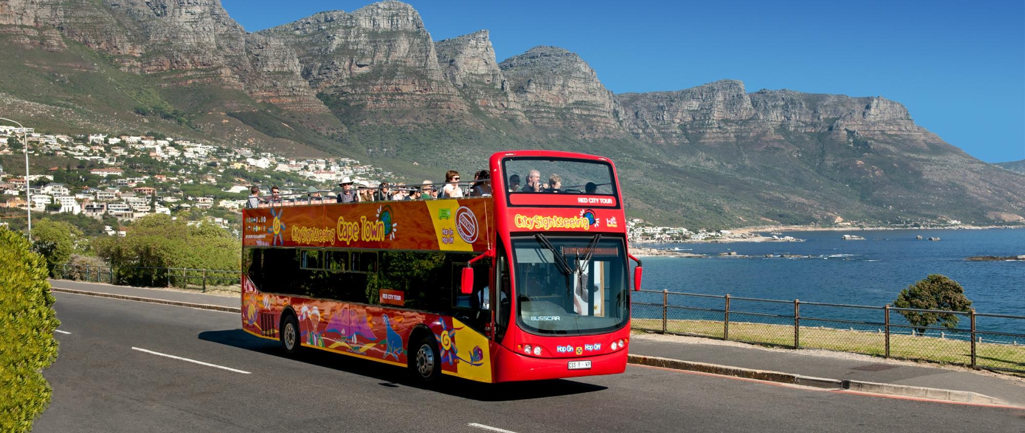 cape town red bus wine tour