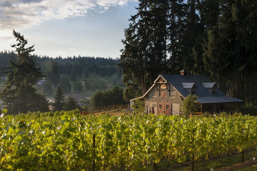 Spoiled Dog Winery image