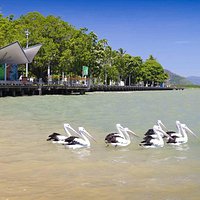 Cairns Esplanade Boardwalk