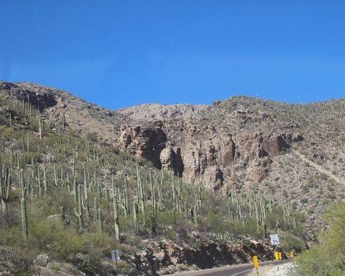 THE 10 BEST Free Things to Do in Tucson (2024) - Tripadvisor