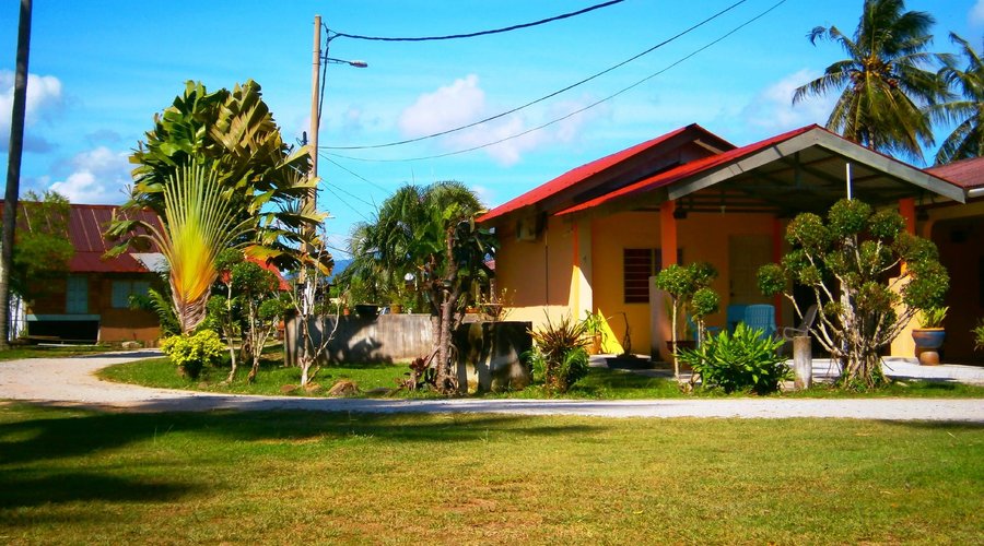 View