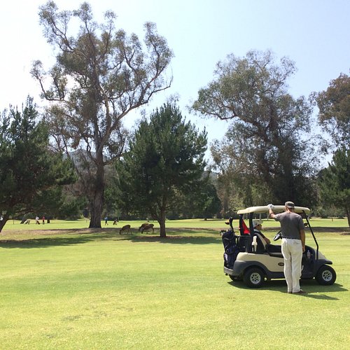 21+ Best Golf Courses Los Angeles