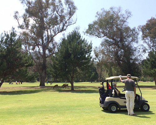 6 Campos de golfe famosos na Califórnia