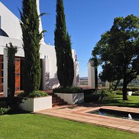 Haskell Vineyards