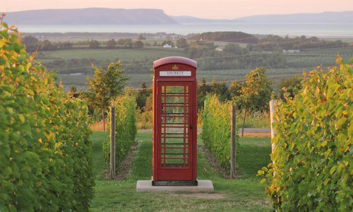 Our signature phone booth - Photo credit Jenna Davies