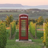 Our signature phone booth - Photo credit Jenna Davies